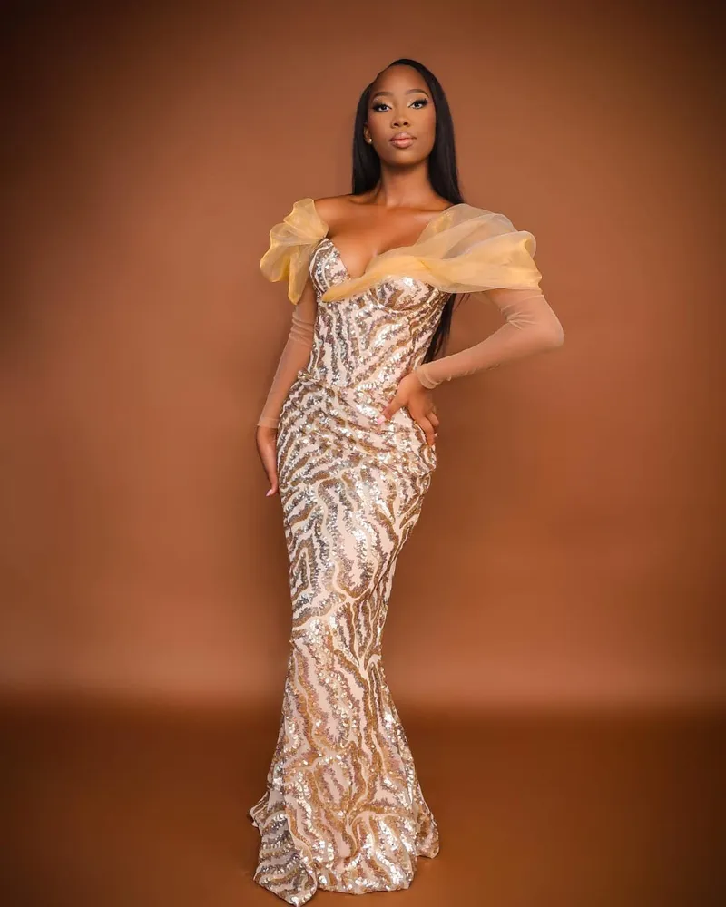 Elegancia Académica - Imagen principal